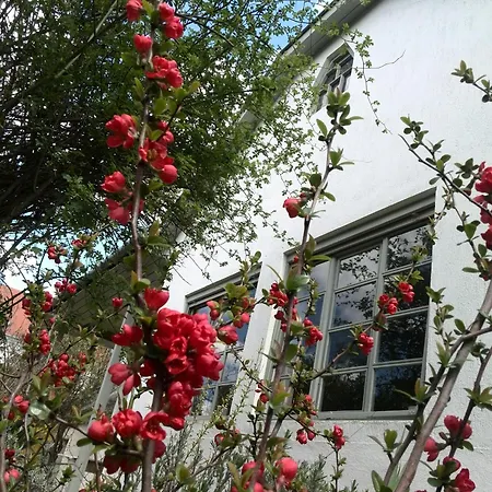 Feriehus Kopajta Vendeghaz Németbarnag