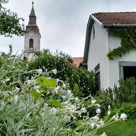 Kopajta Vendeghaz